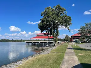 Saracen Landing