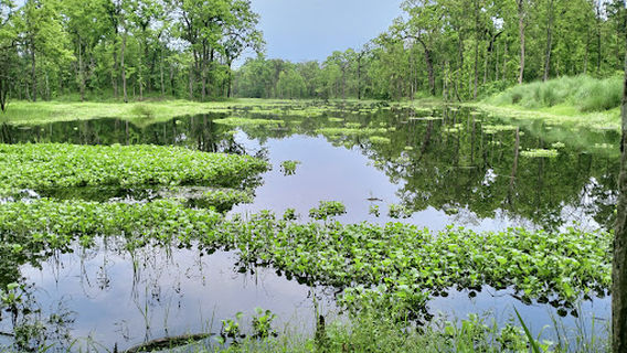 Tikauli Eco-Culture Park