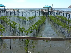 Wisata mangrove