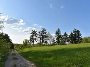 Spivochi Terasy