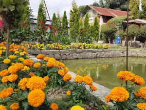 Matai Garden