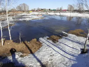 Park "Zvozdnyy"