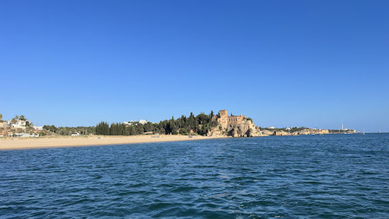Táxi Ferry