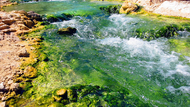 Thermal Baths of Thermopylae