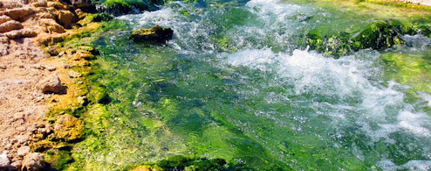 Natural thermal pool