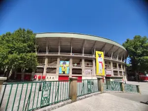 Arènes de Pampelune