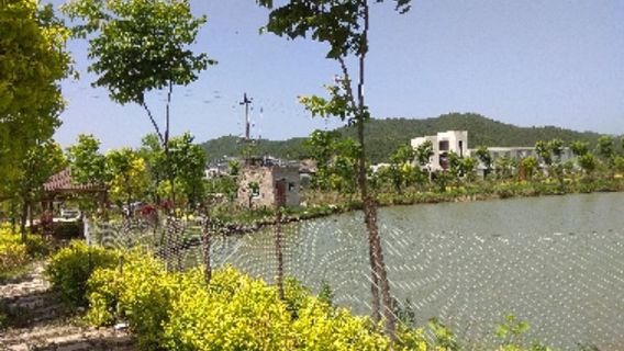 Yuanyou Hot Spring Resort