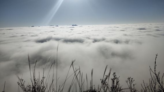 yang ming shan guo jia sen lin gong yuan - yang ling zhi dian
