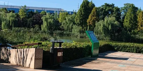 鴿子湖公園-景觀亭