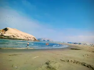 Humedales Puerto Viejo