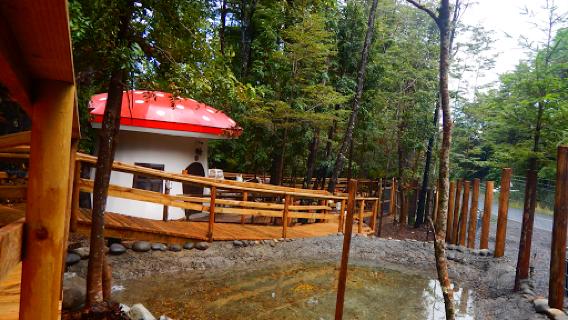 Enchanted Forest Pucon