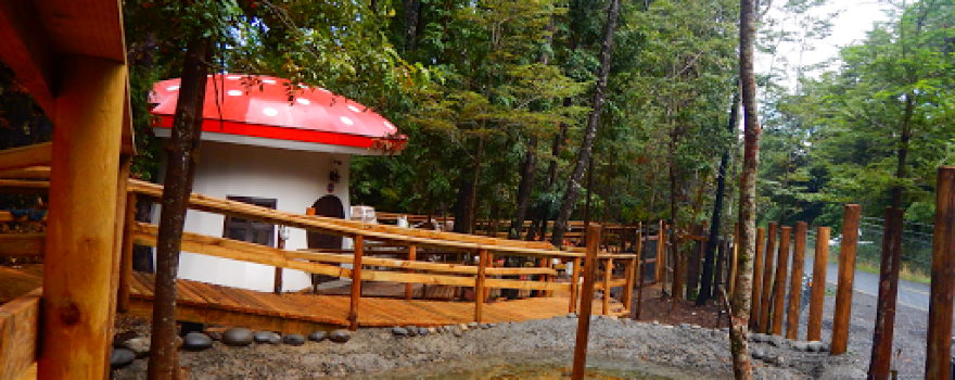 Enchanted Forest Pucon