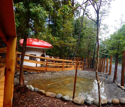 Enchanted Forest Pucon