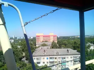 Vinnovskaya Grove
