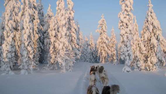 NORDICDREAMS-LAPLAND