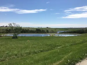Three Mile Lake Beach