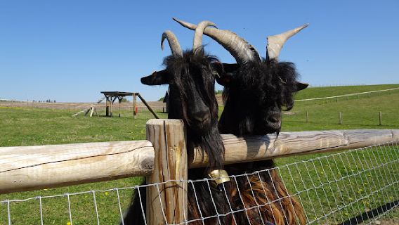 SIGULDA ZOO