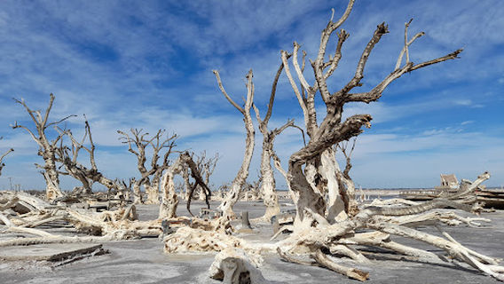 Ruinas de Epecuén