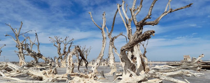 Ruinas de Epecuén