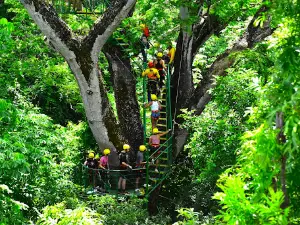 Skyline Canopy Tour