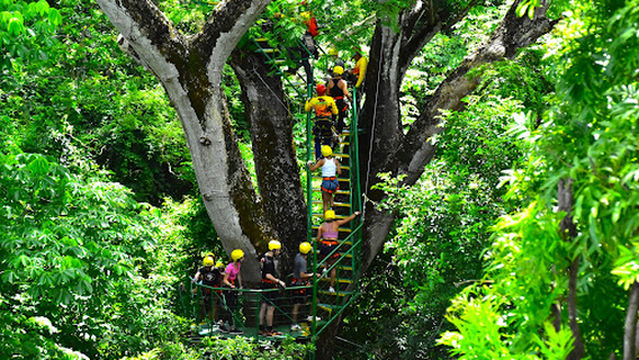Skyline Canopy Tour