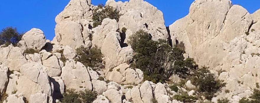 Font del Molí