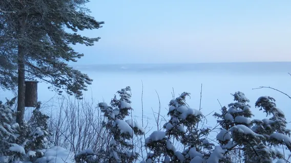 Forestry Museum of Lapland