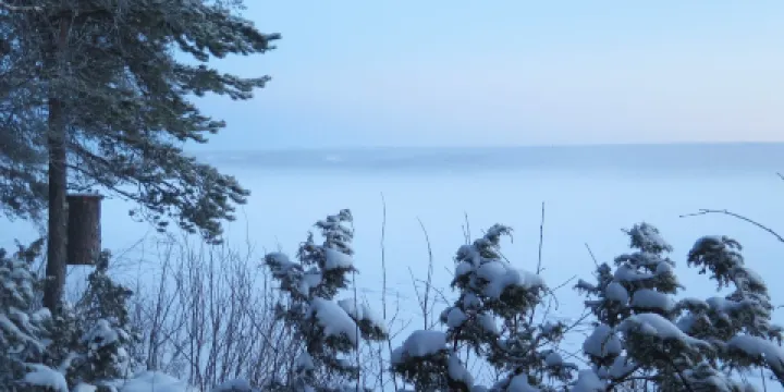拉普蘭森林博物館