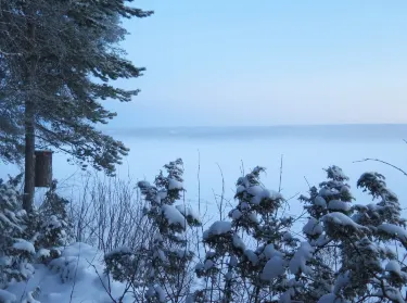Forestry Museum of Lapland