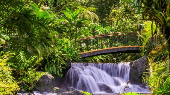 Tabacon Hot Springs