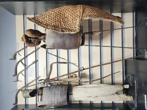 은자메나 국립 박물관