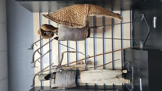 Musee National N'Djamena (National Museum)