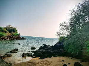 도나 폴라 뷰 포인트