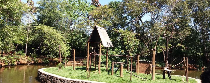 Piracicaba Municipal Zoo