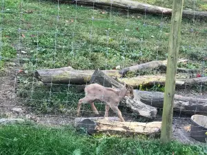 Hovatter’s Wildlife Zoo