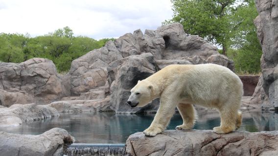 ABQ BioPark Zoo