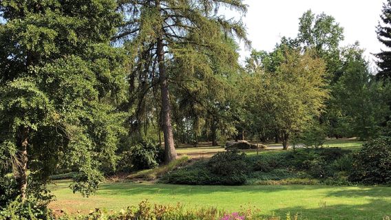 Dendrological Garden