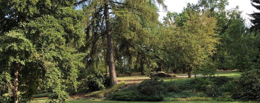 Dendrological Garden