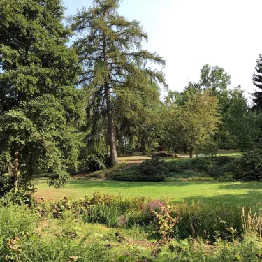 Dendrologicka zahrada