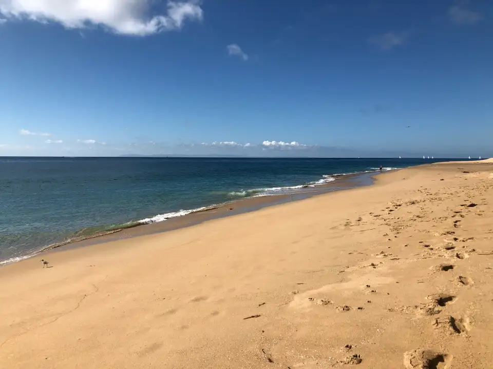 2_The Wedge