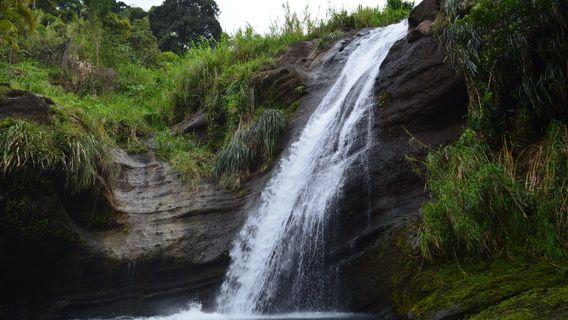 Annandale Waterfall & Forest Park