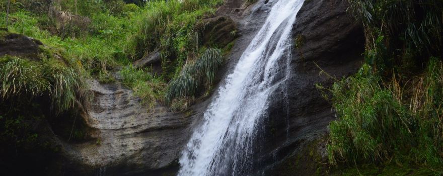 Annandale Waterfall & Forest Park