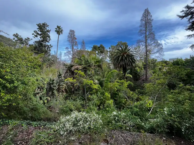 Hotels near UCLA Mathias Botanical Garden