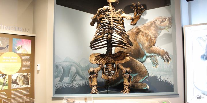 Museum of Natural and Cultural History