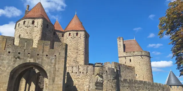 SEX AGENCY in Carcassonne