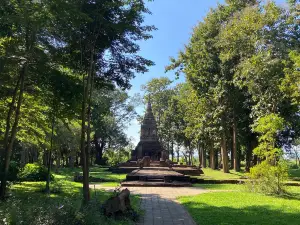 วัดป่าสัก