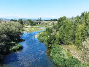 Riserva Naturalistica del Borsacchio