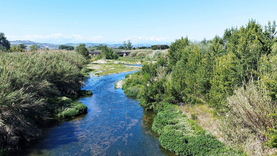 Riserva Naturalistica del Borsacchio