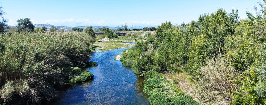 Riserva Naturalistica del Borsacchio