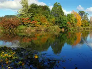 Tasmanian Arboretum